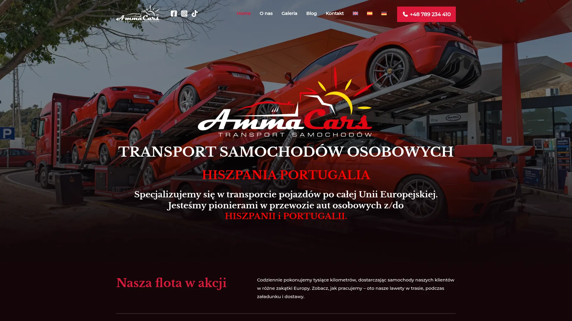 ammacars.pl